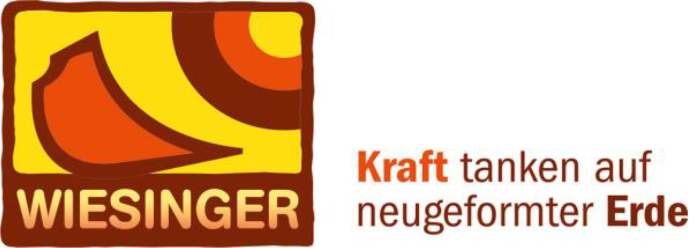 Logo Baggerungen Wiesinger